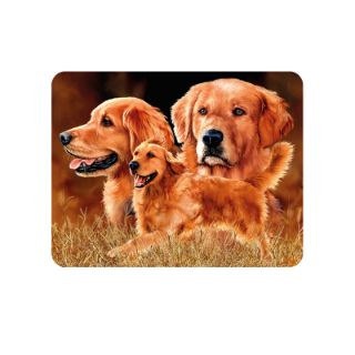 Obrázek z Magnet 3D 7x9cm - pes zlatý retrívr (25) 